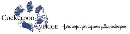 Cockerpoo Sverige